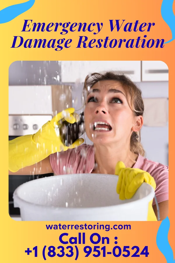 Emergency Water Damage Restoration in Horace, KS