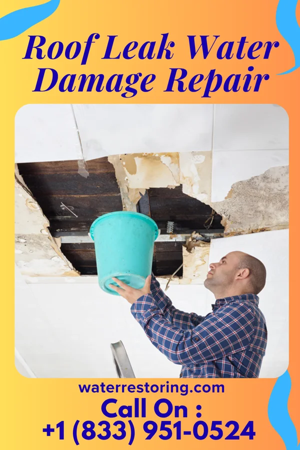 Roof Leak Water Damage Repair in Horace, KS