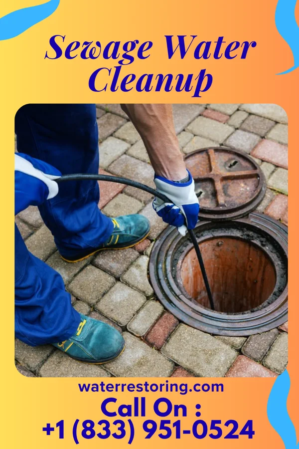 Sewage Water Cleanup in Horace, KS